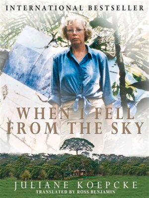 cover image of When I Fell From the Sky